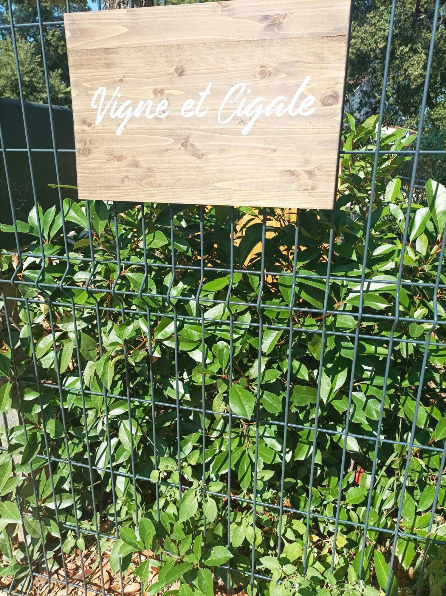 Апартаменты Vigne Et Cigale Ле-Тороне Экстерьер фото